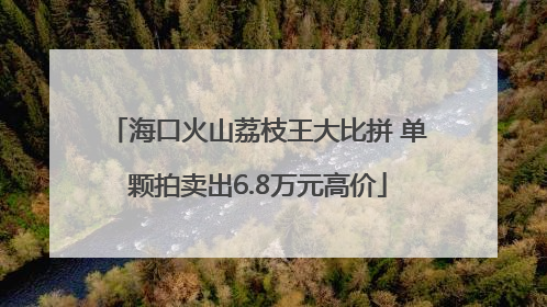 海口火山荔枝王大比拼 单颗拍卖出6.8万元高价