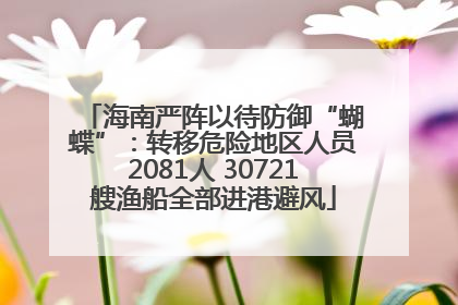 海南严阵以待防御“蝴蝶”：转移危险地区人员2081人 30721艘渔船全部进港避风