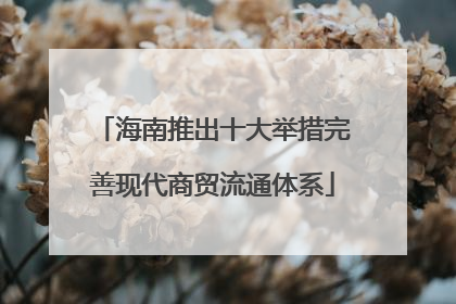 海南推出十大举措完善现代商贸流通体系