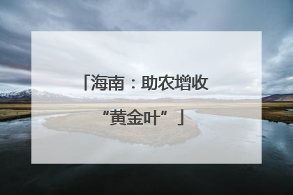 海南：助农增收 “黄金叶”