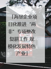 海垦企业项目化推进“两非”专项整改复耕工作 规模化发展特色产业