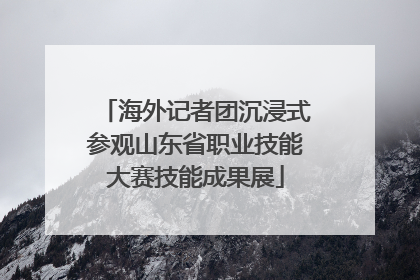 海外记者团沉浸式参观山东省职业技能大赛技能成果展