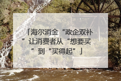 海尔消金“政企双补”让消费者从“想要买”到“买得起”