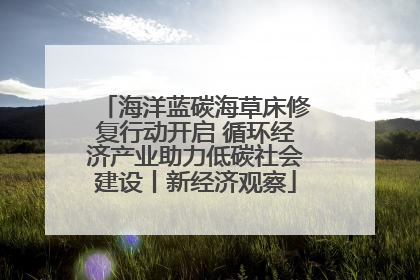 海洋蓝碳海草床修复行动开启 循环经济产业助力低碳社会建设丨新经济观察