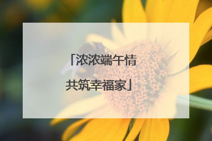 浓浓端午情 共筑幸福家