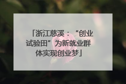 浙江慈溪：“创业试验田”为新就业群体实现创业梦