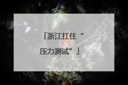 浙江扛住“压力测试”