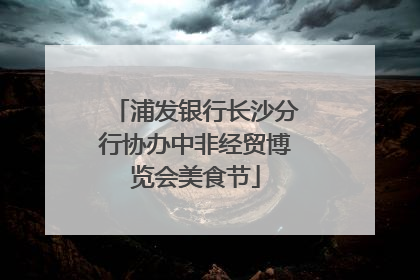 浦发银行长沙分行协办中非经贸博览会美食节