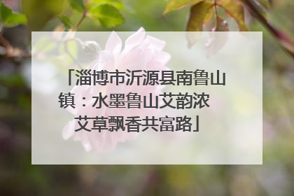 淄博市沂源县南鲁山镇：水墨鲁山艾韵浓 艾草飘香共富路