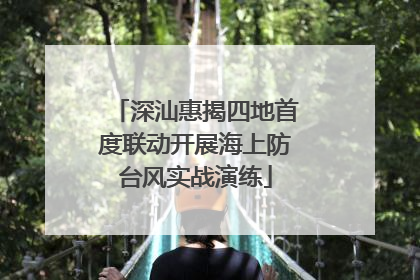 深汕惠揭四地首度联动开展海上防台风实战演练