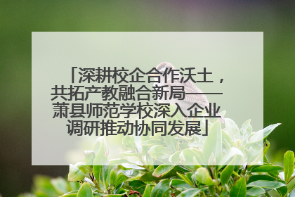 深耕校企合作沃土，共拓产教融合新局——萧县师范学校深入企业调研推动协同发展