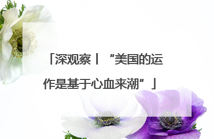 深观察丨“美国的运作是基于心血来潮”