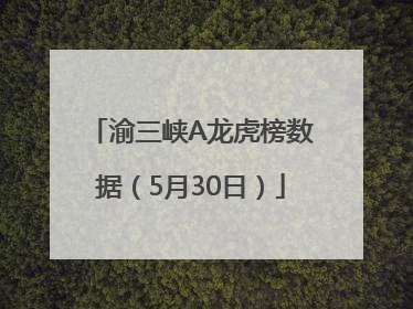 渝三峡A龙虎榜数据（5月30日）