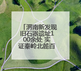 渭南新发现旧石器遗址100余处 实证秦岭北麓百万年人类生存演化史