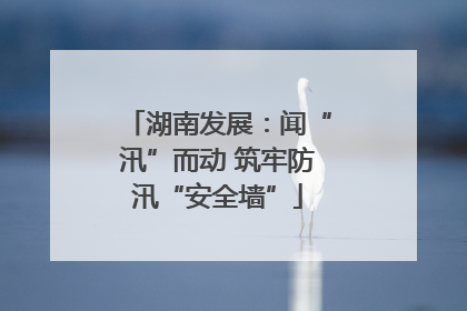 湖南发展：闻“汛”而动 筑牢防汛“安全墙”
