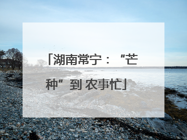 湖南常宁：“芒种”到 农事忙