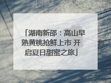 湖南新邵：高山早熟黄桃抢鲜上市 开启夏日甜蜜之旅