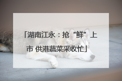 湖南江永：抢“鲜”上市 供港蔬菜采收忙