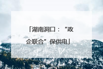 湖南洞口：“政企联合”保供电