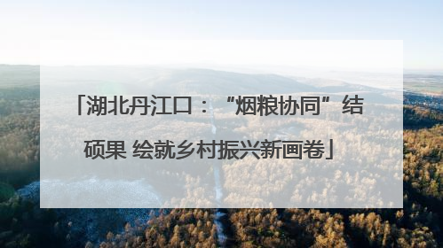 湖北丹江口：“烟粮协同”结硕果 绘就乡村振兴新画卷