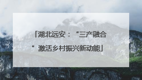 湖北远安：“三产融合”激活乡村振兴新动能