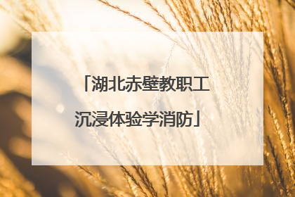 湖北赤壁教职工沉浸体验学消防