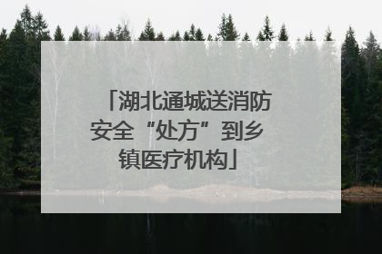 湖北通城送消防安全“处方”到乡镇医疗机构