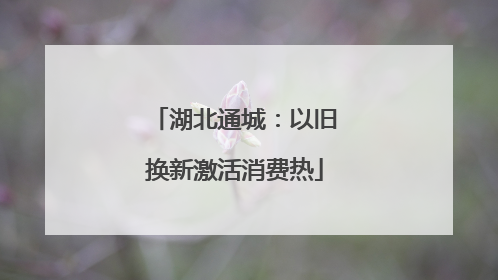 湖北通城：以旧换新激活消费热