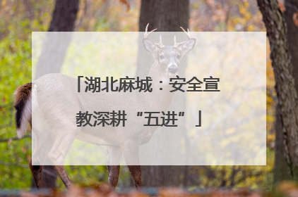 湖北麻城：安全宣教深耕“五进”