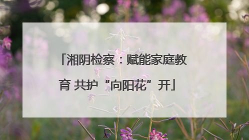 湘阴检察：赋能家庭教育 共护“向阳花”开