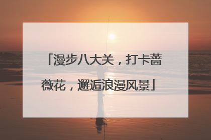 漫步八大关，打卡蔷薇花，邂逅浪漫风景