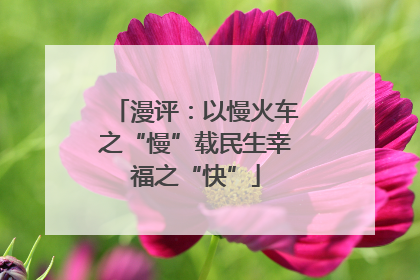 漫评：以慢火车之“慢”载民生幸福之“快”