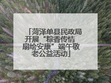 菏泽单县民政局开展“粽香传情 扇绘安康”端午敬老公益活动