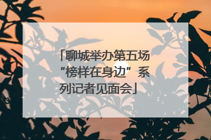聊城举办第五场“榜样在身边”系列记者见面会