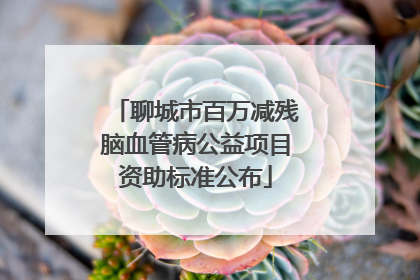 聊城市百万减残脑血管病公益项目资助标准公布