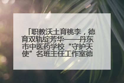 职教沃土育桃李，德育双轨绽芳华——丹东市中医药学校“守护天使”名班主任工作室德育实践之路
