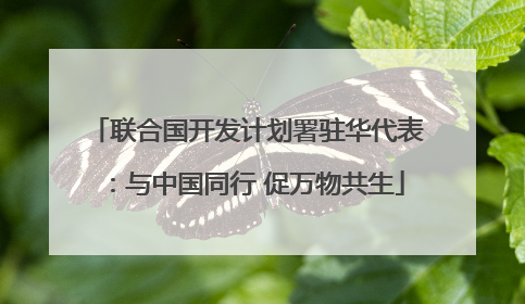 联合国开发计划署驻华代表：与中国同行 促万物共生