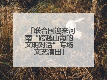 联合国迎来河南“跨越山海的文明对话”专场文艺演出