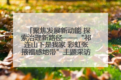 聚焦发展新动能 探索治理新路径——“祁连山下是我家 彩虹张掖福感地带”主题采访活动走进山丹