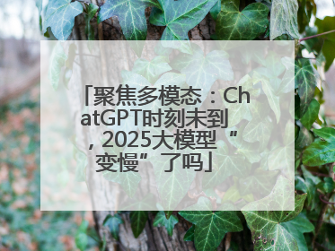 聚焦多模态：ChatGPT时刻未到，2025大模型“变慢”了吗