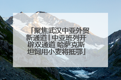 聚焦武汉中亚外贸新通道│中亚班列开辟双通道 哈萨克斯坦饲用小麦将抵鄂