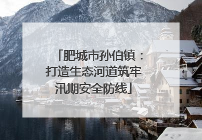 肥城市孙伯镇：打造生态河道筑牢汛期安全防线