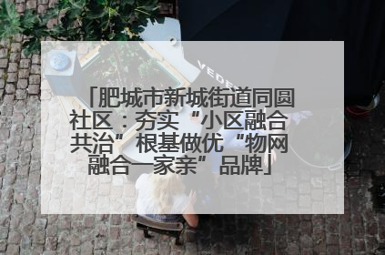 肥城市新城街道同圆社区：夯实“小区融合共治”根基做优“物网融合一家亲”品牌