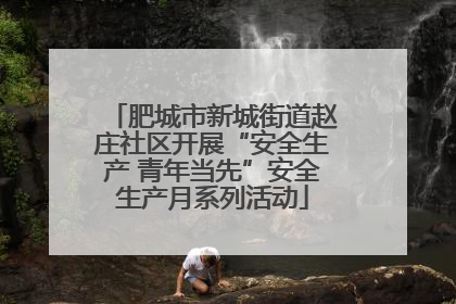 肥城市新城街道赵庄社区开展“安全生产 青年当先”安全生产月系列活动