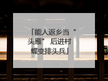 能人返乡当“头雁” 后进村蝶变排头兵