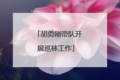 胡勇刚带队开展巡林工作