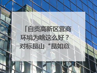 自贡高新区营商环境为啥这么好？对标昆山“昆如意”打造自贡“高兴办”｜美好生活有“盐”味