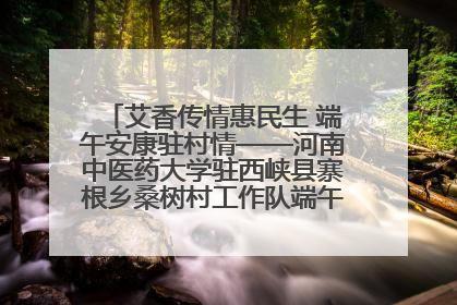 艾香传情惠民生 端午安康驻村情——河南中医药大学驻西峡县寨根乡桑树村工作队端午中医惠民记