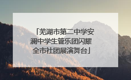 芜湖市第二中学安澜中学生管乐团闪耀全市社团展演舞台