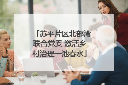 苏平片区北部湾联合党委 激活乡村治理一池春水